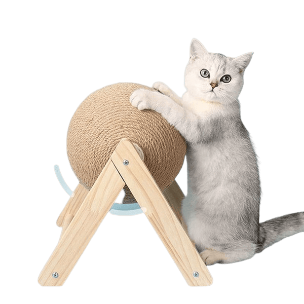 Bola de Arranhar para Gatos - CatBall